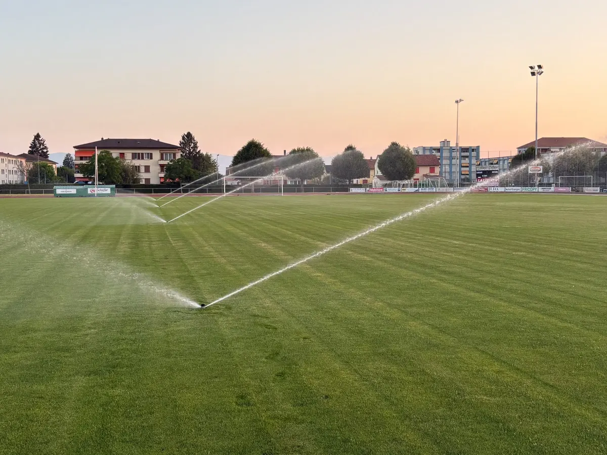 Terrain de football arrosé en soirée, jets croisés de plusieurs arroseurs